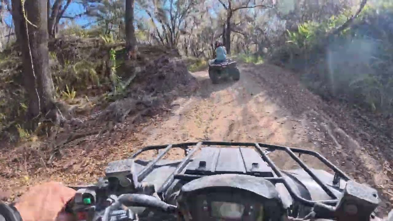 Bone Coaster Track February 14, 2026