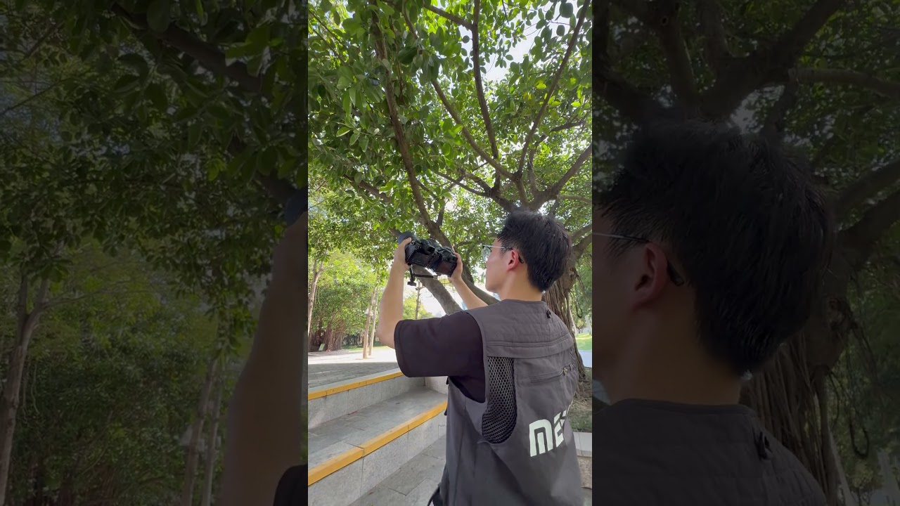 Real-World Test: Meike 85mm f1.4 vs Meike 85mm f1.8 Pro Lens