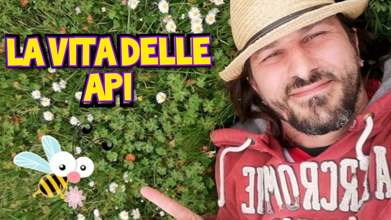 la vita delle api, scopri il loro incredibile mondo!