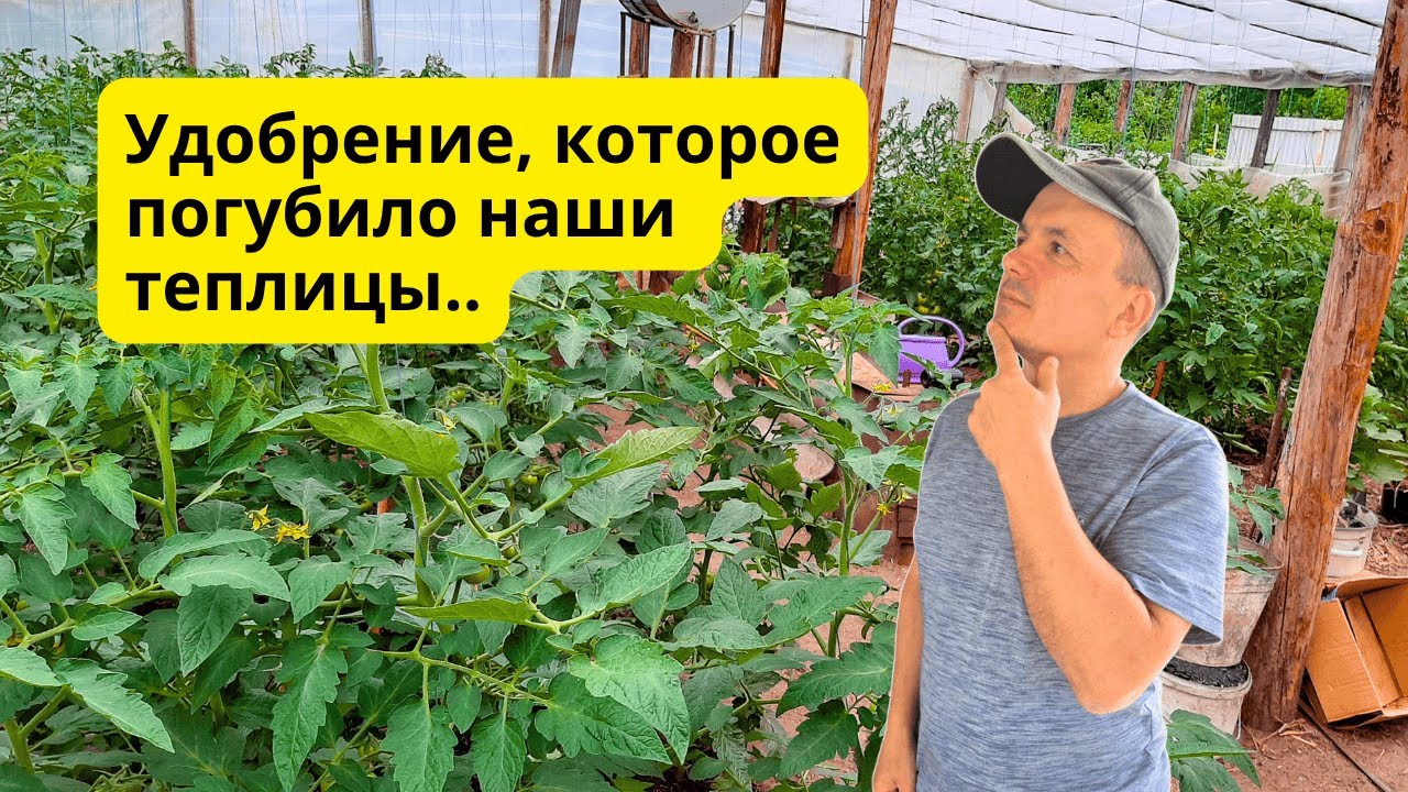 Удобрение, которое я никогда не использую и вам не советую- ХЛОРИСТЫЙ КАЛИЙ.