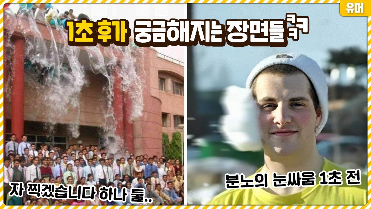 1초 후가 궁금해지는 절묘한 사진들ㅋㅋㅋㅋㅋㅋㅋㅋㅋ다음 장면 좀 보여주세요!!!