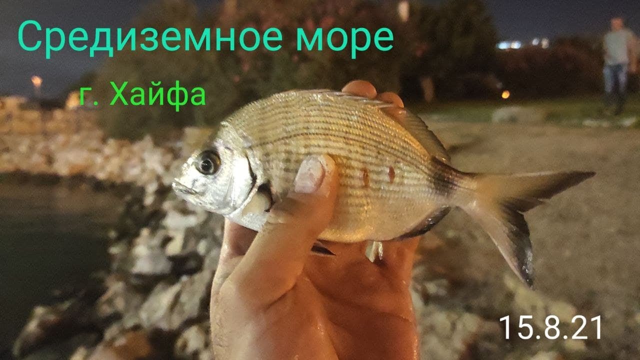 Вечерняя прогулка/рыбалка на море с семьёй. 15.8.21 Рыбалка в Израиле.