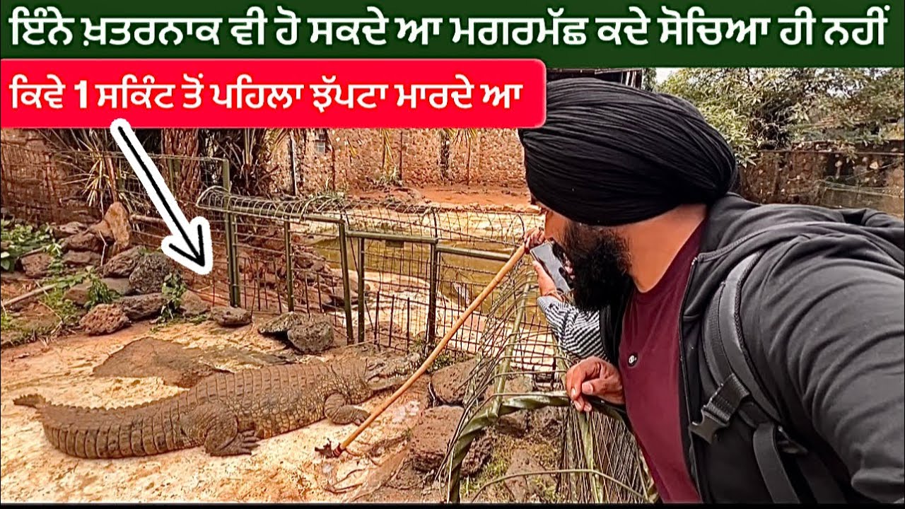 ਮਗਰਮੱਛਾਂ ਬਾਰੇ ਅਣਸੁਣੀਆ ਗੱਲਾਂ || MAMBA VILLAGE NAIROBI KENYA 🇰🇪 SIKH TRAVELLER HARSIMRAN EAST AFRICA