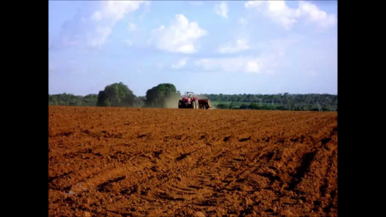 Primeiro ano Soja Tocantins