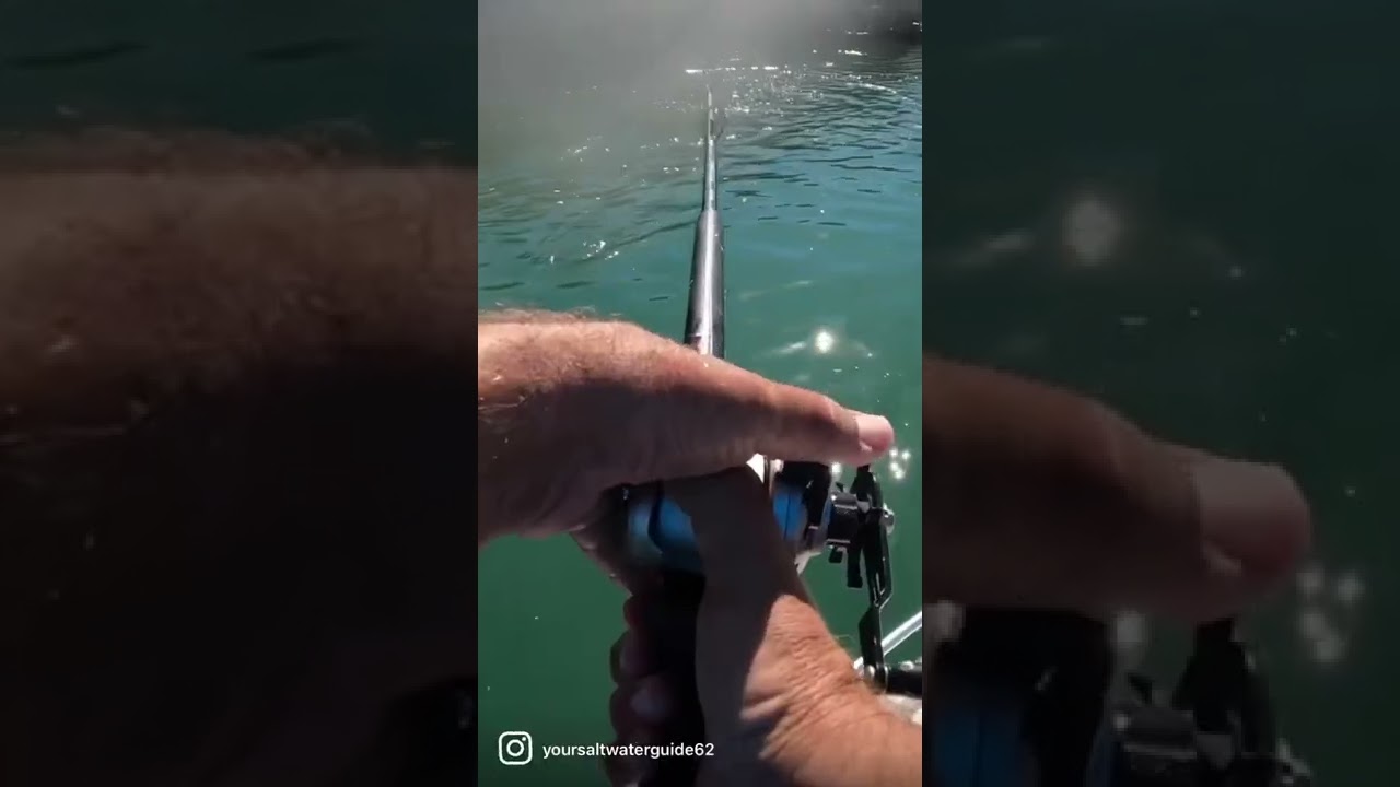 Wide Open Snook Fishing! Part 1 🎣 #snook #snookfish #snookfishing #fishing #fishingdaily