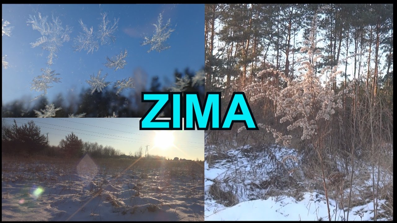 Zima - jak powstaje śnieg? Pory roku - Nowy film edukacyjny dla dzieci po polsku