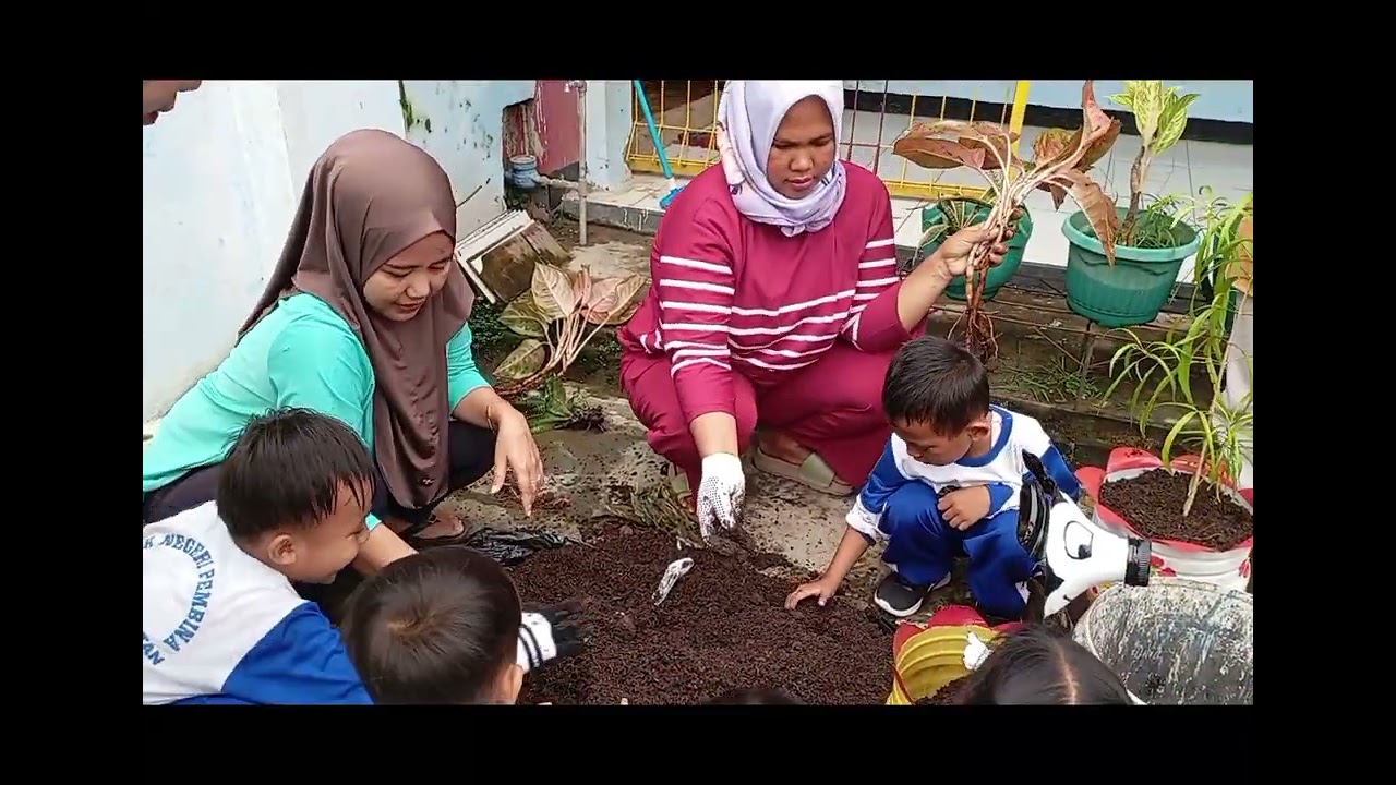  TK N Pembina Jatiwangi kegiatan menanam tanaman hari Kamis tanggal 19 Februari 2026