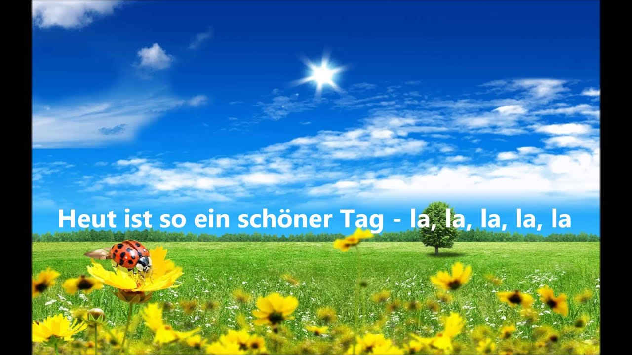Fliegerlied (So ein Sch&ouml;ner Tag) - Donikkl