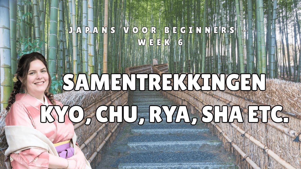 Japans voor Beginners: Samentrekkingen (Youon)