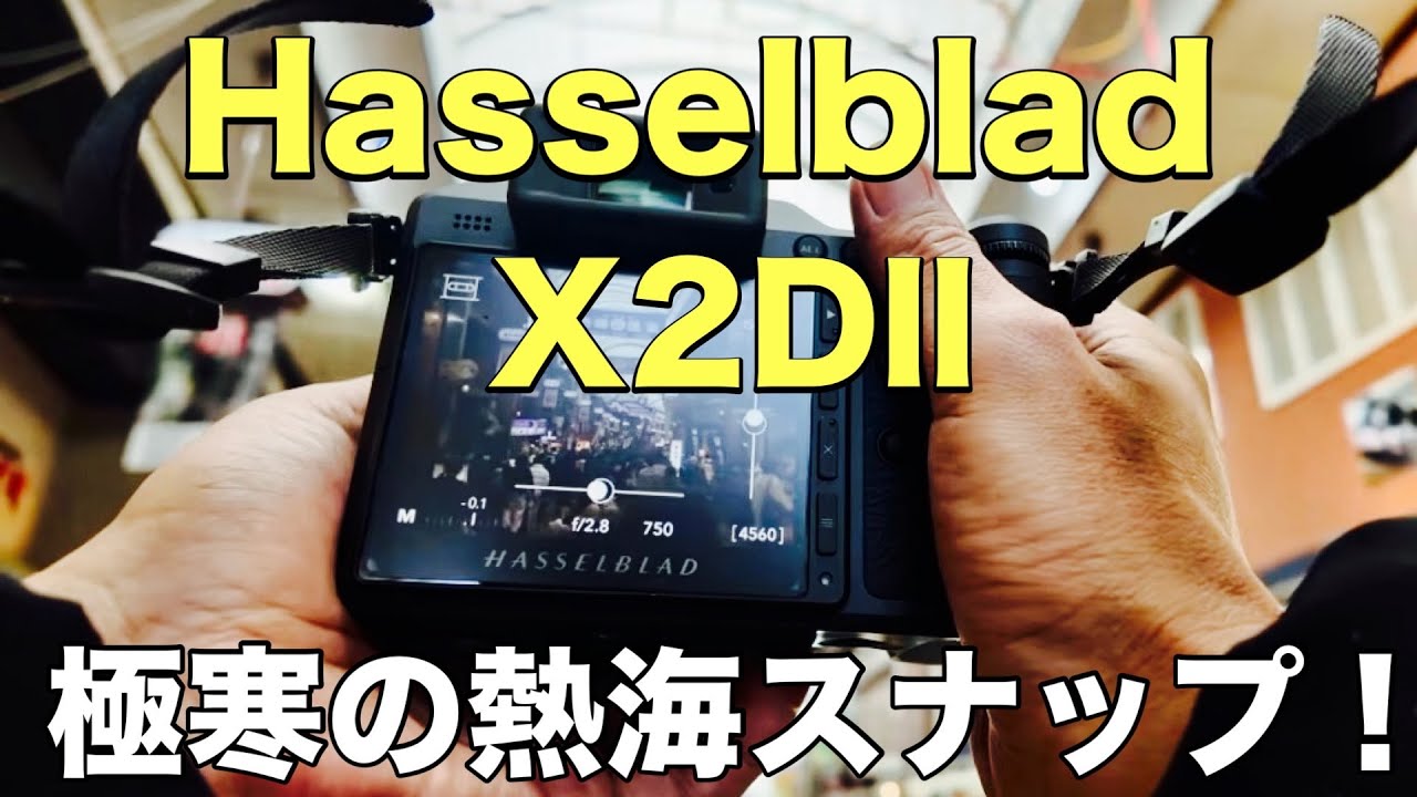 久しぶりにHasselbladの写りに酔いしれました【X2Dll|XCD2.5/55V】
