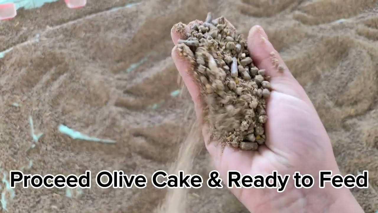 Valorization of Olive Cake