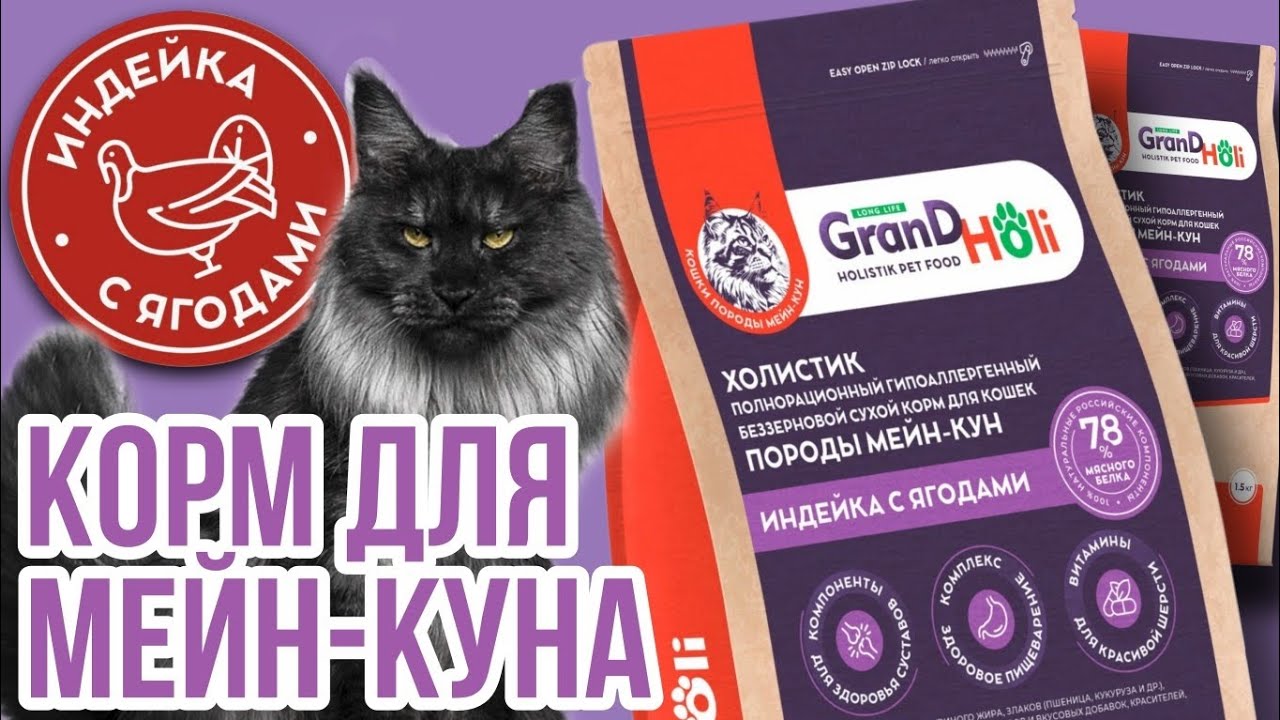 Grand Holi для мейн-кунов: честный обзор после 4 месяцев использования | Grand Holi обзор корма