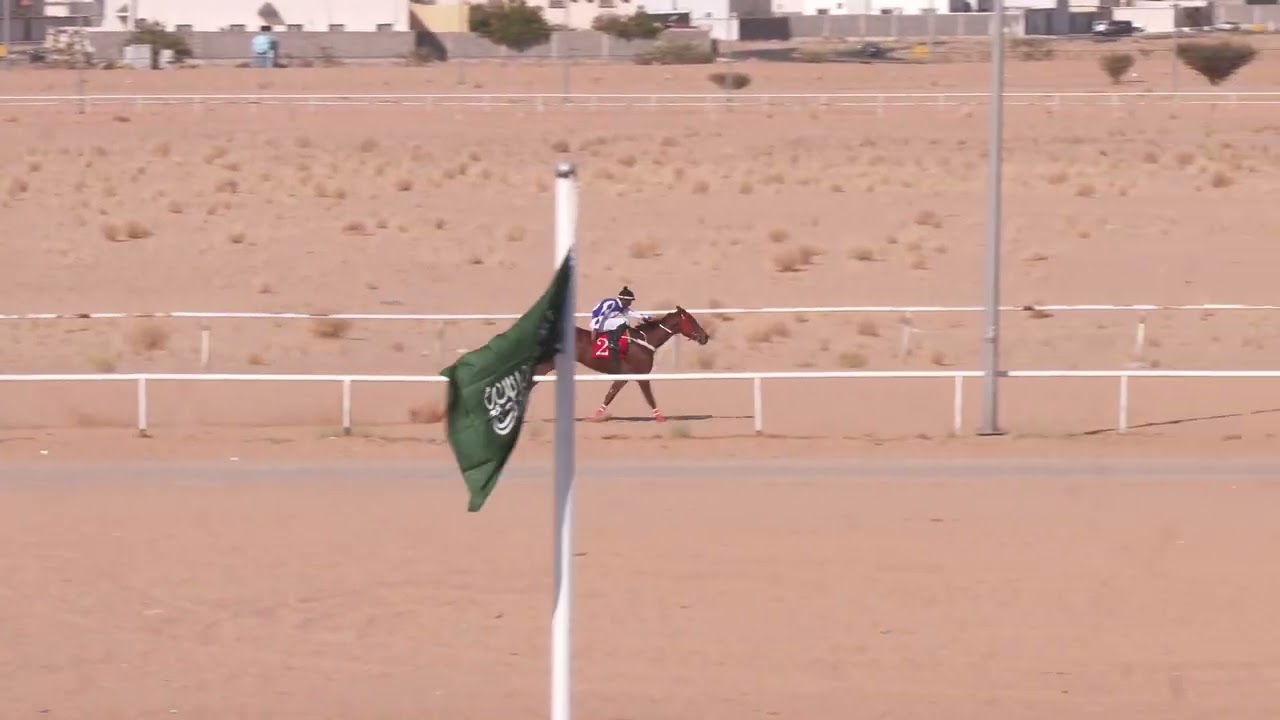 الشوط 2 بالحفل السادس يوم الاثنين 27-7-1446هـ