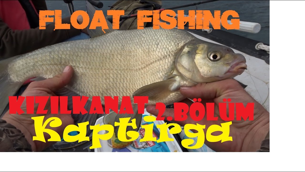 Sapanca Gölü Kaptırga ve Kızılkanat Avı  Float Fishing For Abramis Brama and Rudd 2.Bölüm