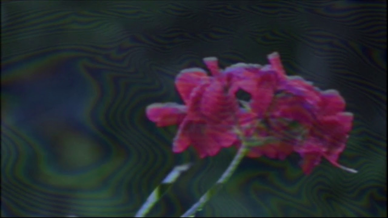 alex rose & dalex-yo quisiera(slowed + reverb)