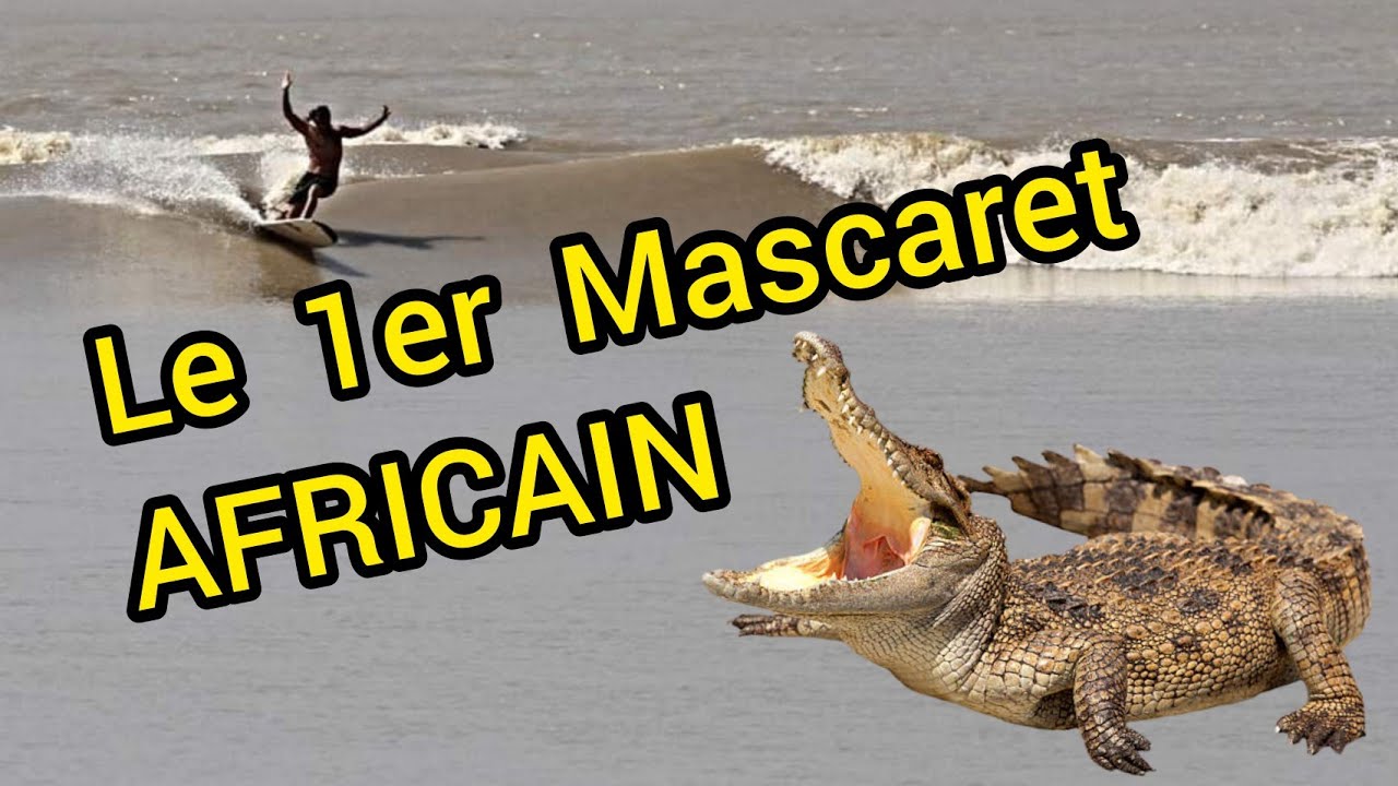 Surf Explore Guinée Bissau 🐊 mascaret africain