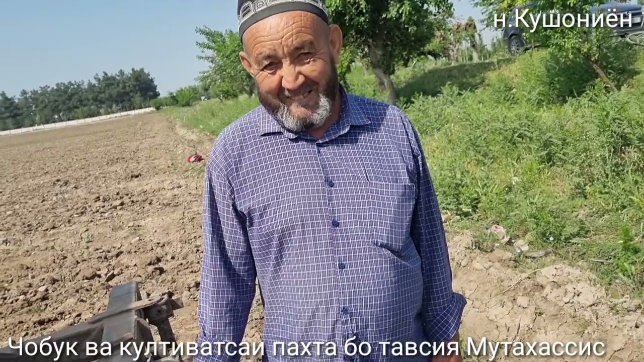Чобук ва култиватсаи пахта бо тавсия Мутахассис. Якум Чобук ва якум култиватса н.Кушониён
