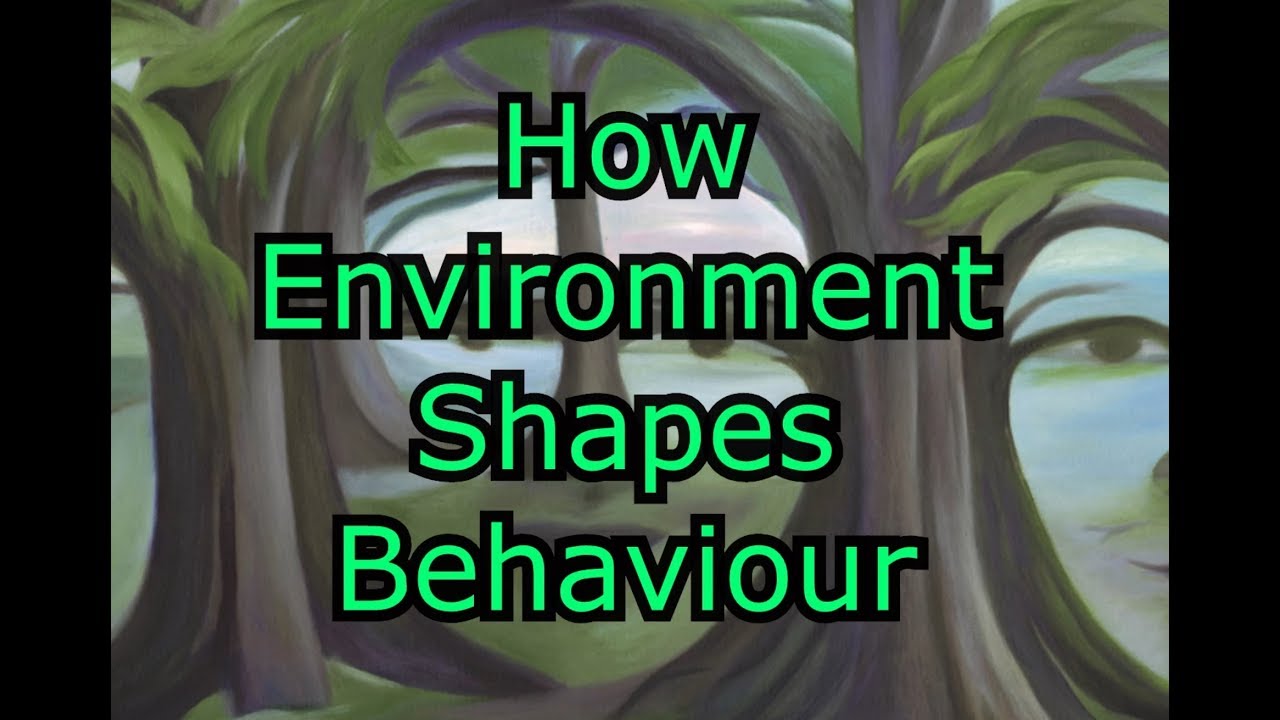 How Environment Shapes Behaviour