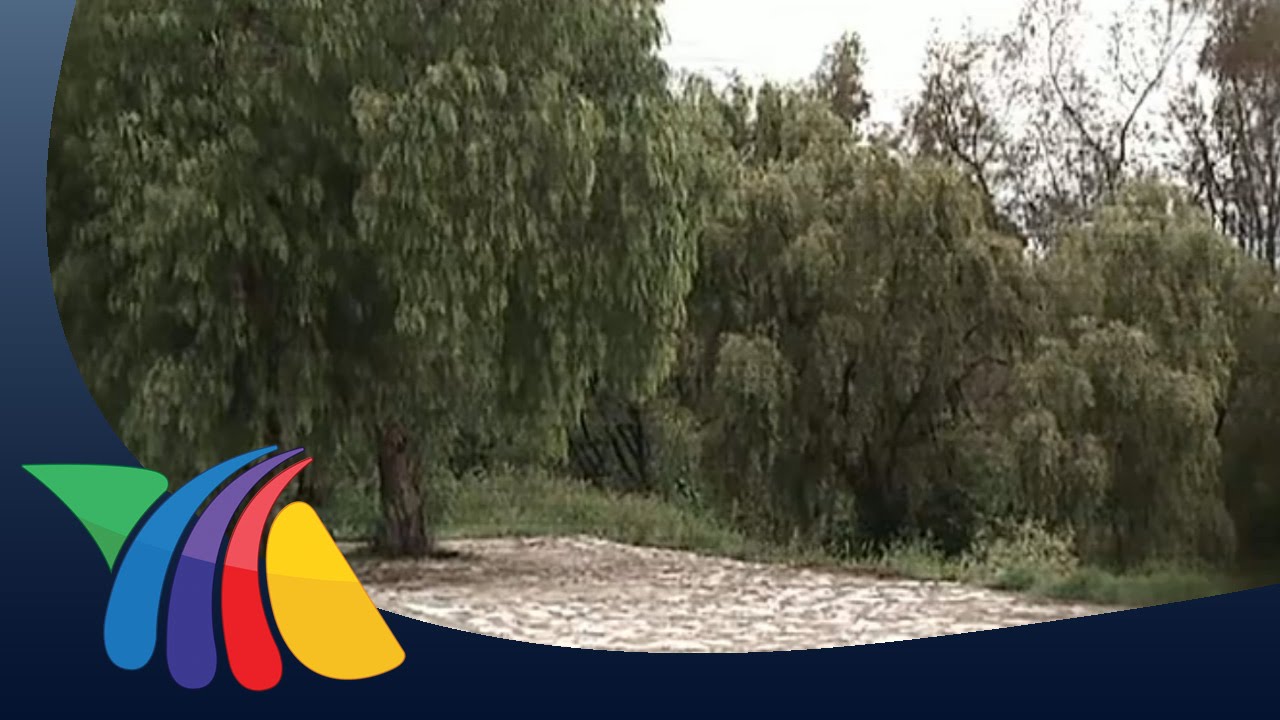 El Chán del agua | Noticias de Aguascalientes