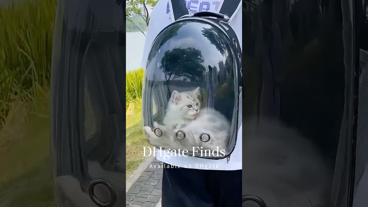 🐱 Space Capsule Cat Backpack for curious cat 👀#dhgate #dhgatefinds #petsupplies