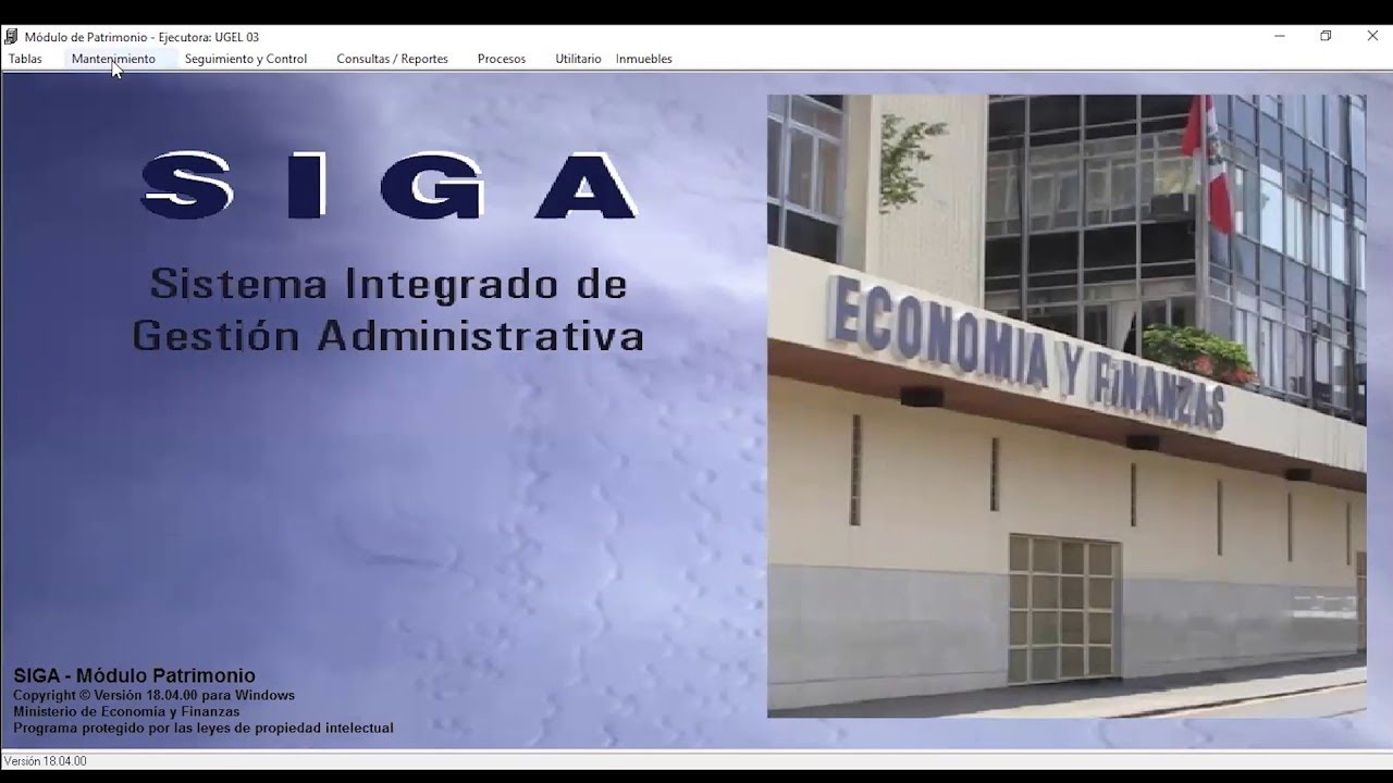 SIGA MEF - REQUERIMIENTO DE BIENES Y SERVICIOS