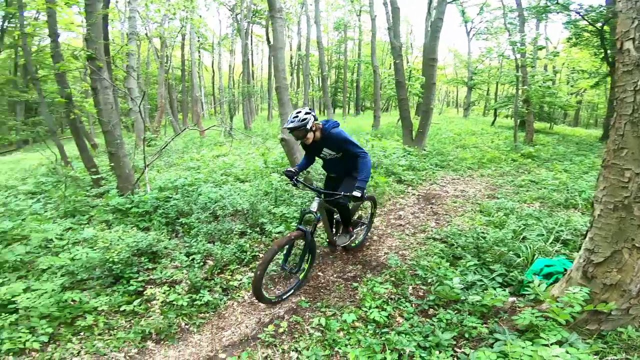 Downhill beim Buchenwald /Ettersberg