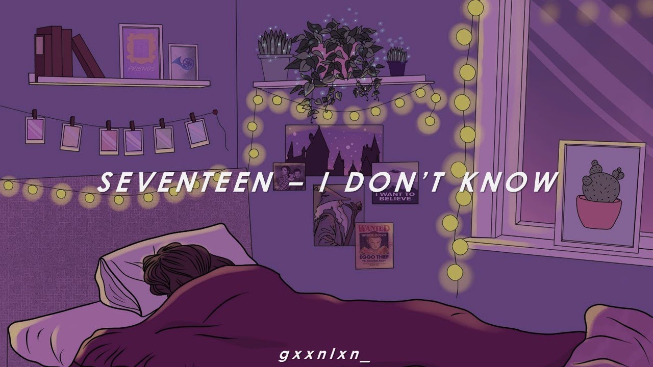 [INDO SUB] SEVENTEEN - I DON'T KNOW