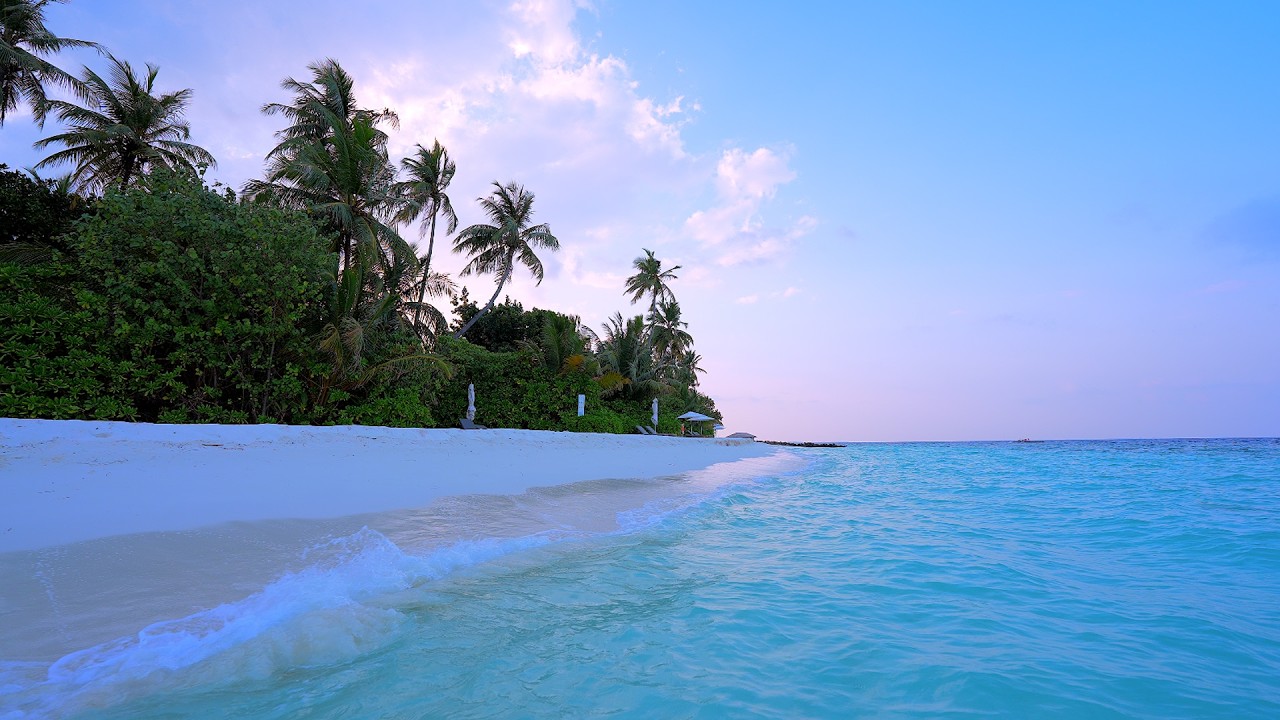 🏝 Turquoise Water, White Sand and Ocean Sounds