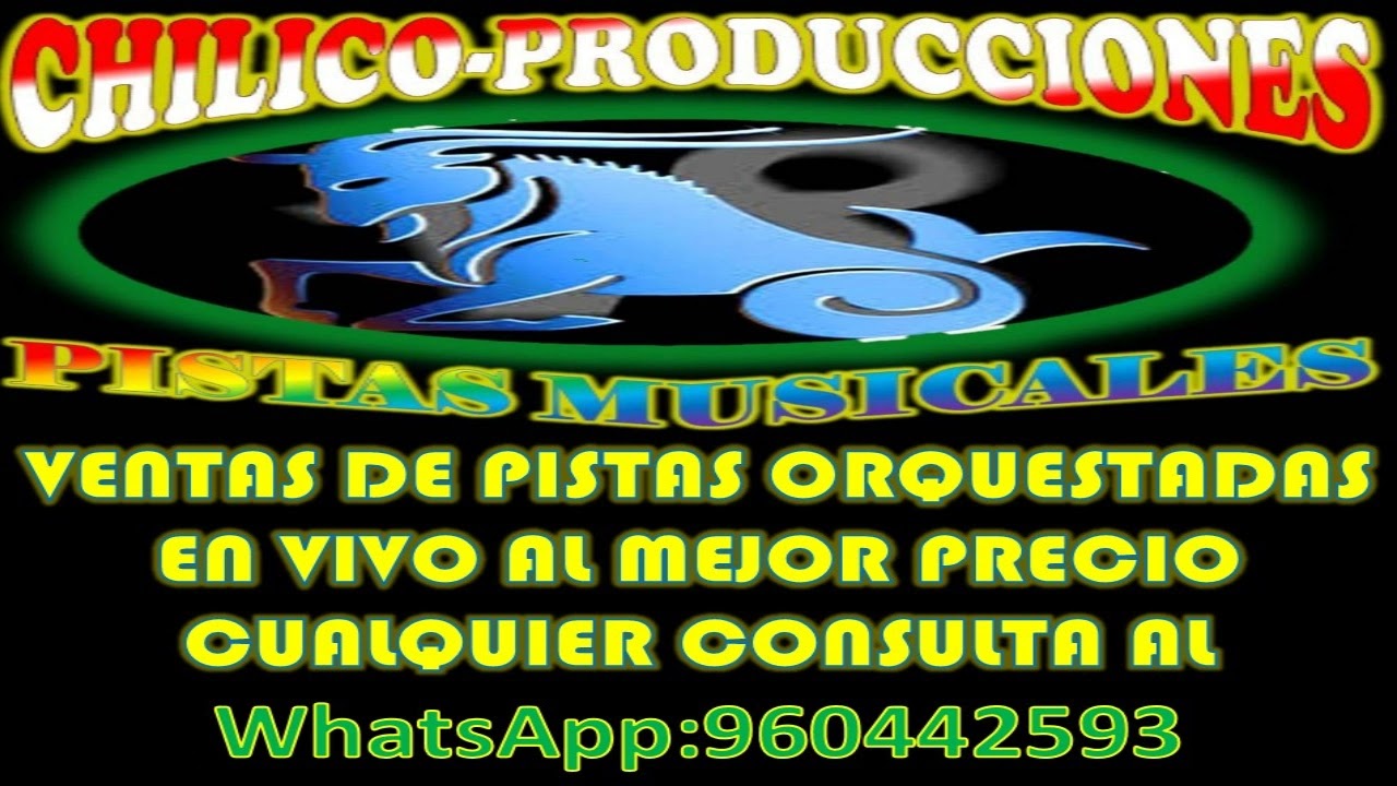 SUSAN DEL PERU-MIXAMANTES PERFECTOS-PATITO NEGRO-MI SOMBRERITO PISTA EN VIVO DEMO