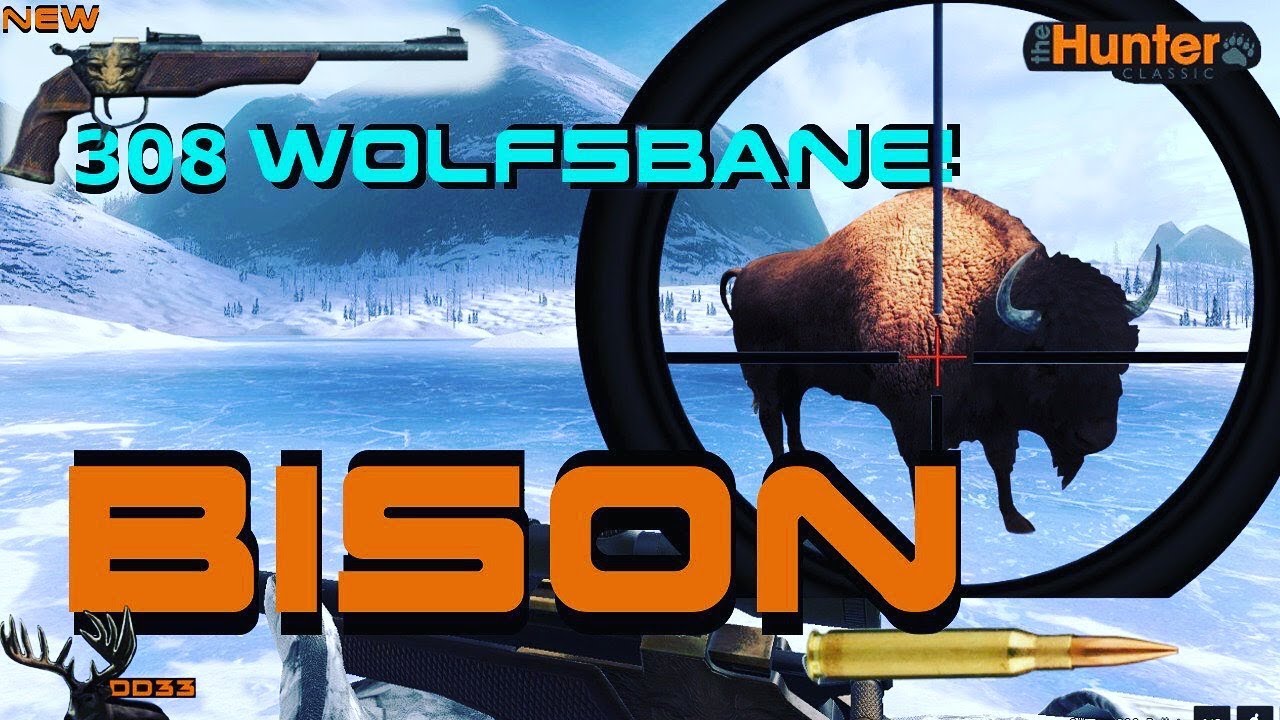 The 308 WOLFSBANE Pistol vs BISON!! THEHUNTER 2018