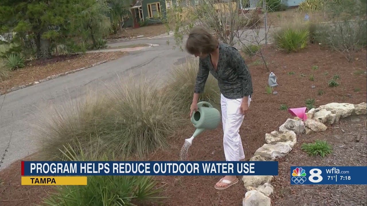 Tampa launches drought-friendly landscaping program