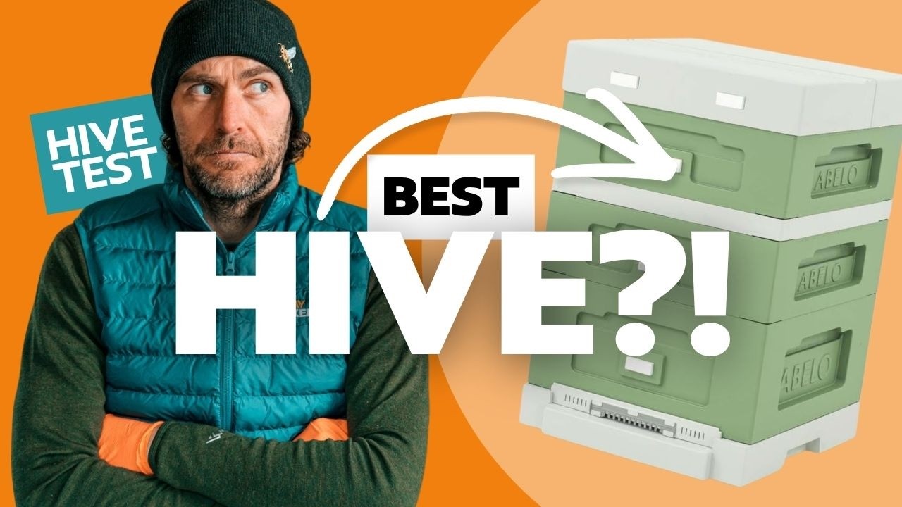 Abelo Poly Hive Review – What’s the Best Beehive for UK Beekeepers?