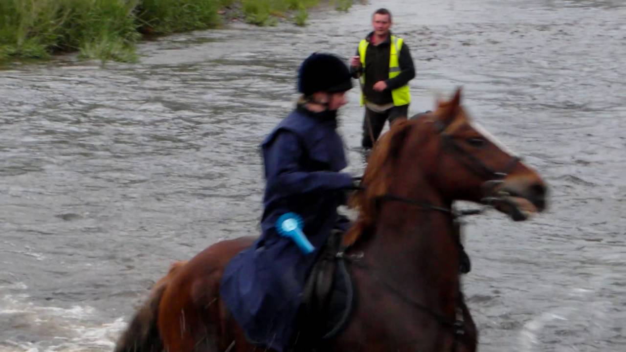 FIRST GUID NYCHBURRIS RIDE OUT FOR 2016 Hardlawbank Ford