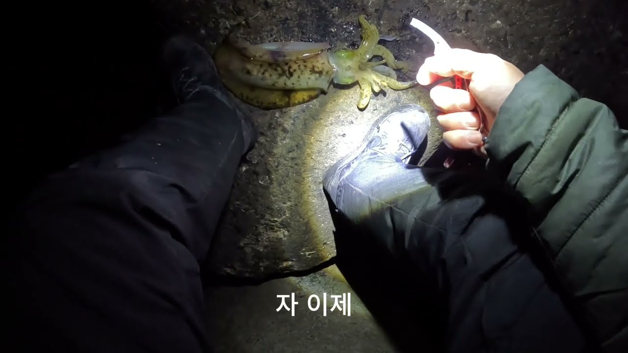 20260207  제주 야엔낚시