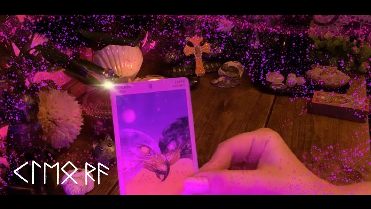 THE DIVINE SPOUSE YOUR SOUL IS CONNECED TO UPDATE 🔮🧞‍♀️#tarotcardreading #soulmatetarot #twinflame