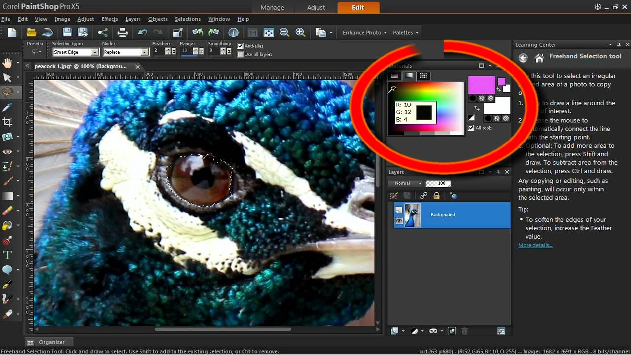 The Color Changer Tool in Corel PaintShop Pro X5