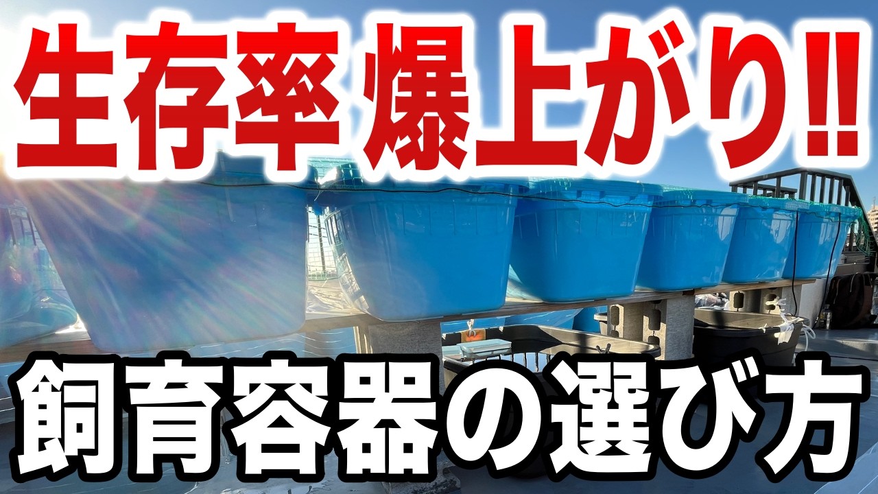 メダカの飼育できる匹数の目安とめだか飼育容器の選び方