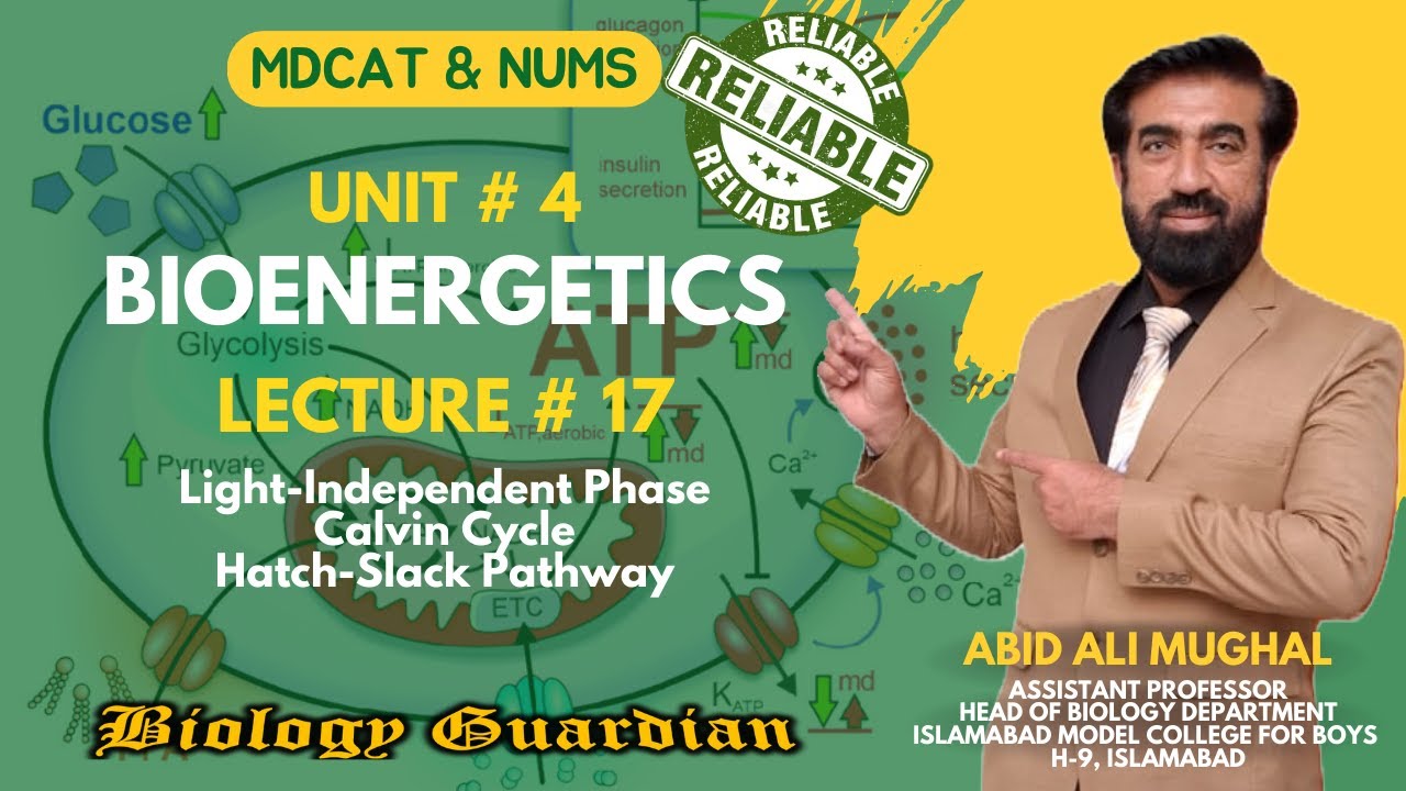 Lecture 17 MDCAT 2022 Biology Preparation Series (Bioenergetics Part-4) PMC/NUMS | Urdu/Hindi | NEET