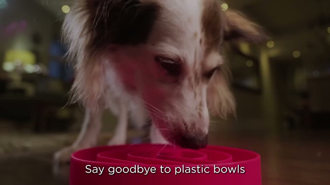 The Burly Brand Silicone Slow Feeder Dog Bowl Dog Slow Feeder Bowl No-Gulp & Non-Slip Puzzle Feeder