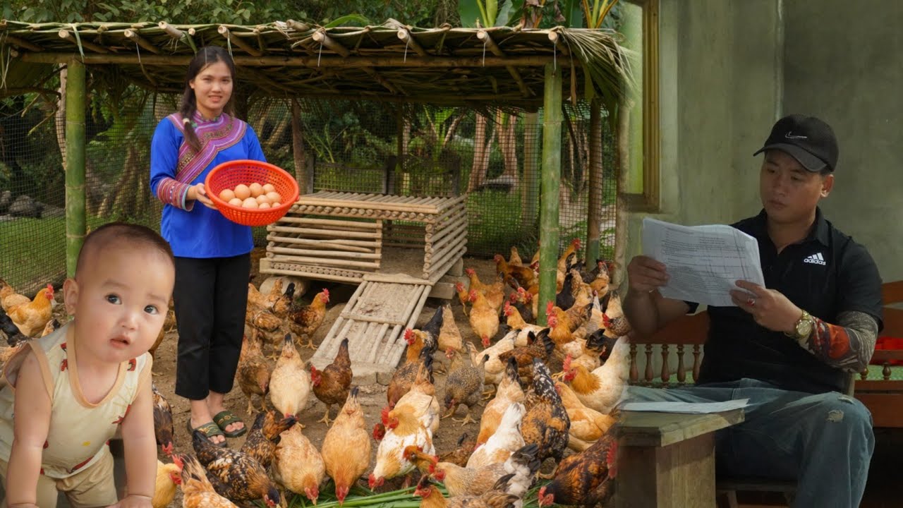 16-year-old single mother builds new chicken coop, collects first eggs - Jon gets a new assignment.