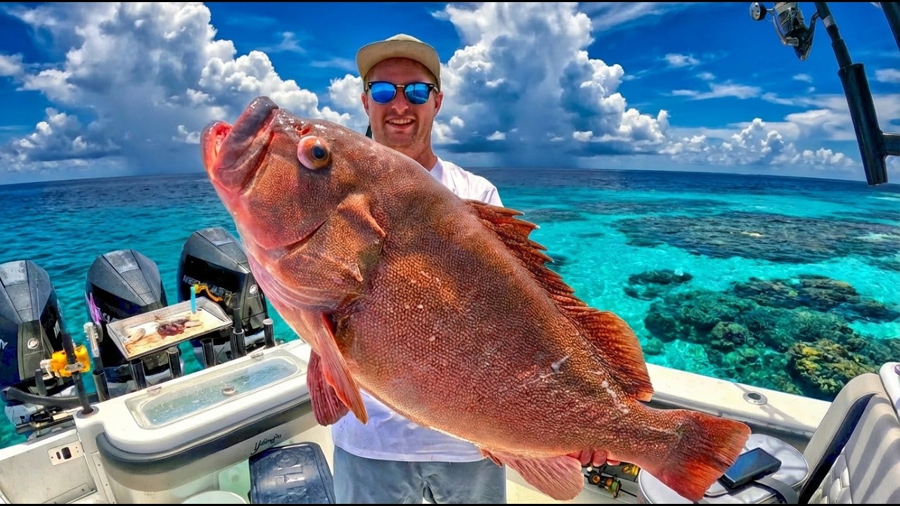 Our Top 5 Biggest Offshore Fish of the Year