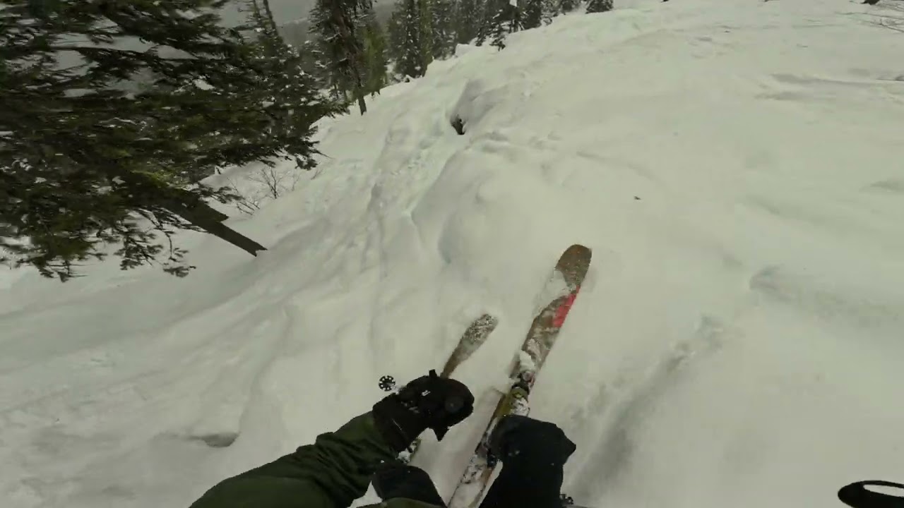 Poochie's Trees, War Eagle Trees runs. Red mt Canada. Skiing February, 2025