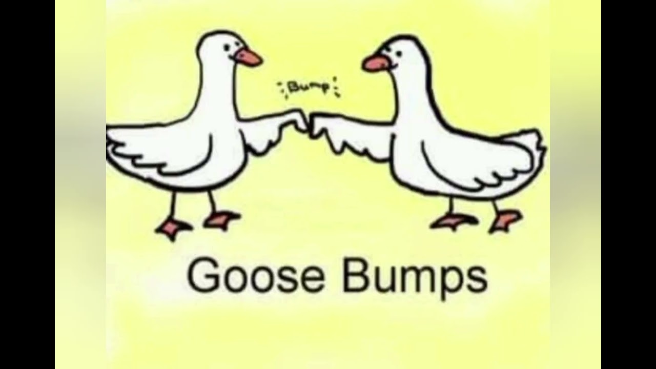 Random Meme Comp #77 #memes #funnyimages #random