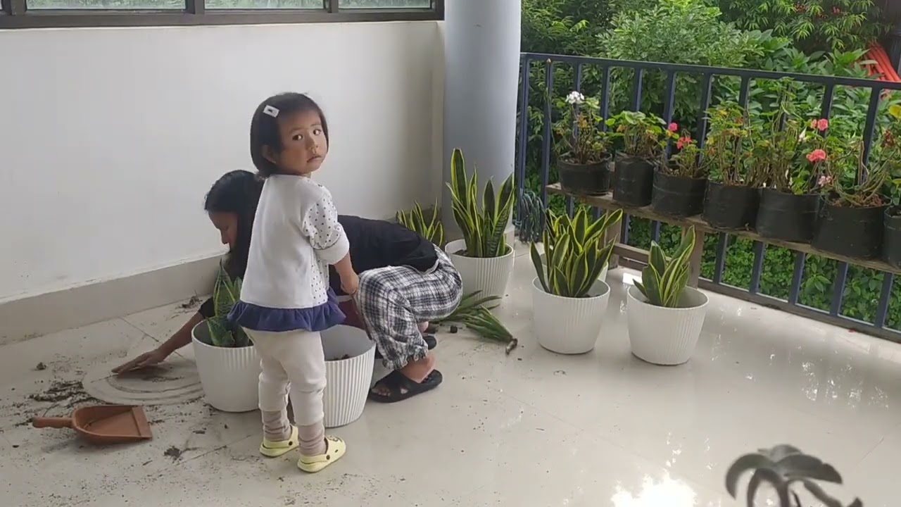 Gardening #snakeplant #toddlerlearning