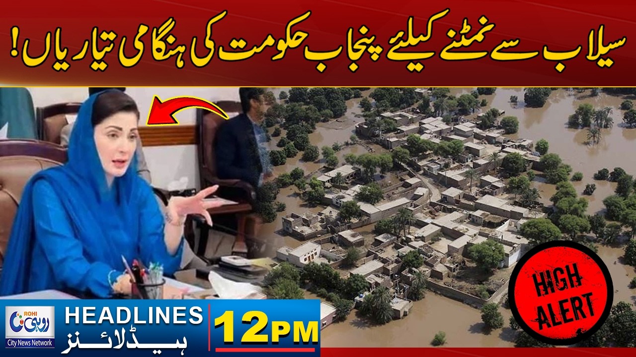Punjab Government's Preparations To Deal With Floods | 12pm News Headlines l 10 Feb 2026 l Rohi