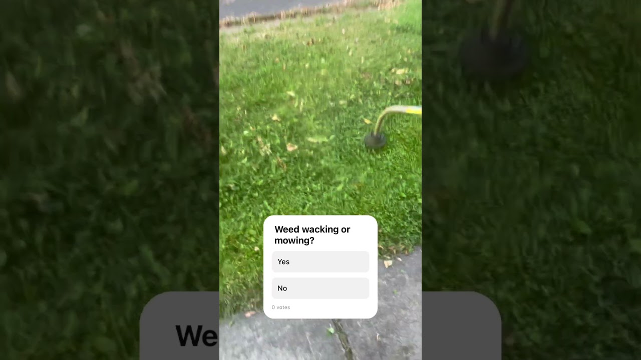 Weedwacking overgrown grass #overgrown#grass#asmr#satisfying#satisfyingvideo#weedzoa#lawn #money