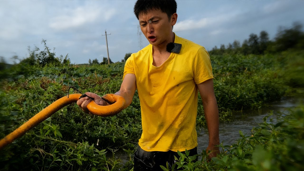 能拿下這條強大的鱔魚，靠的不只是技巧，更是不服輸的勇氣和咬牙堅持的決心，這體驗太難忘！#大熱門#fishing