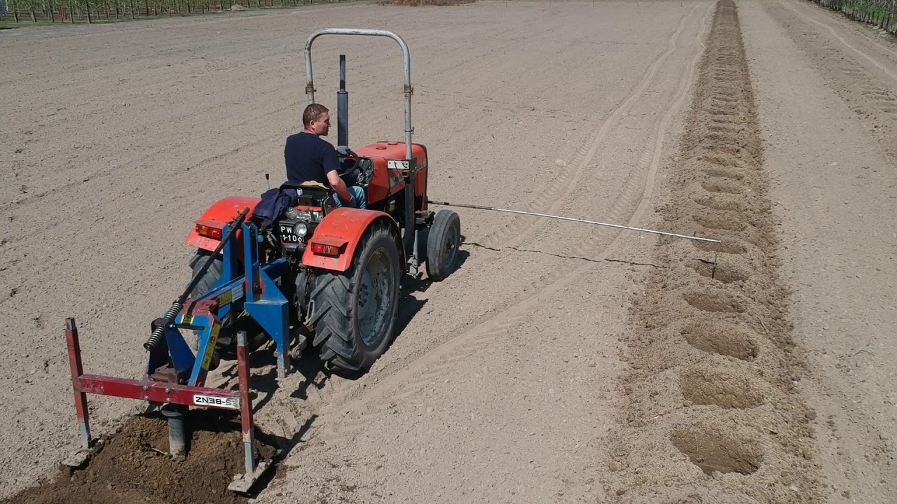 [sadownictwo] Sadzenie drzew jabłoni / Planting apple trees