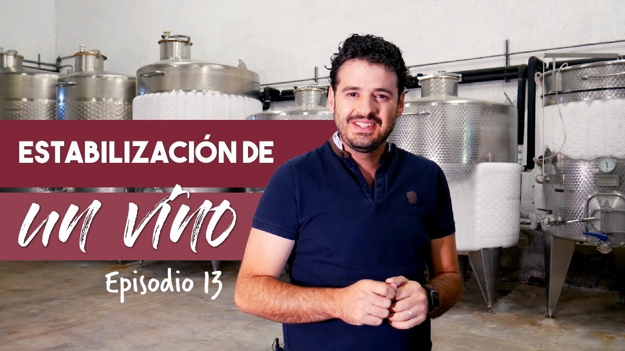 Estabilizaci&oacute;n de un VINO