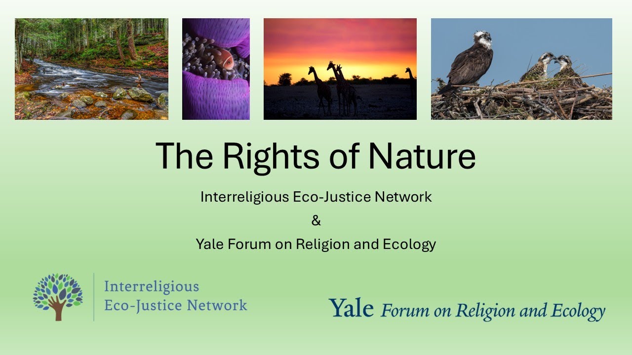 The Rights of Nature